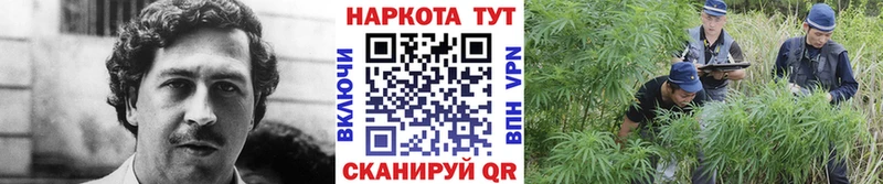 Купить Карабулак ГАШ Канабис Кокаин Мефедрон