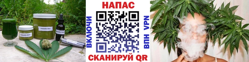 Canna-Cookies конопля Карабулак