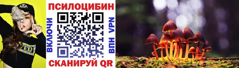 Псилоцибиновые грибы прущие грибы  кракен маркетплейс  Карабулак  сколько стоит 